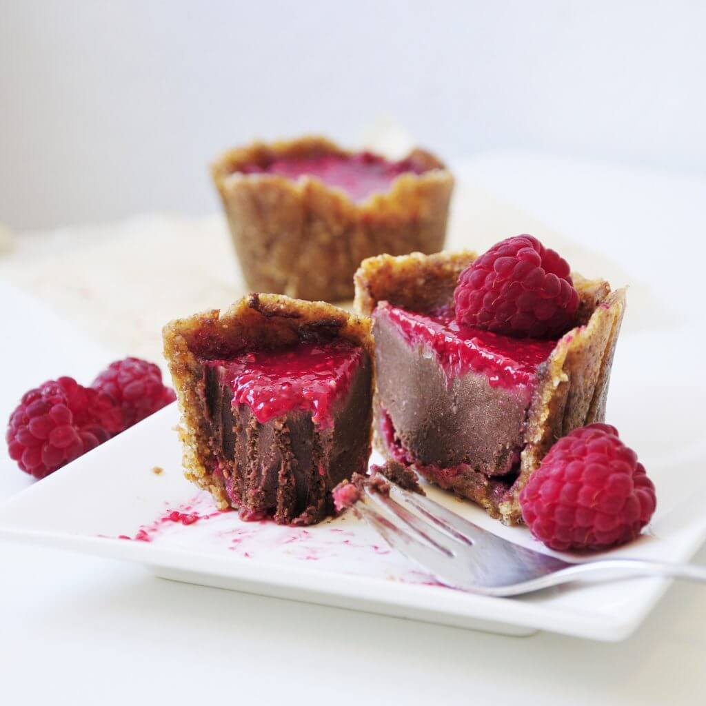 Mini Raspberry Chocolate Cake Vegan Family Recipes
