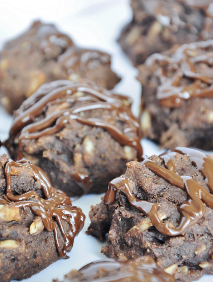 Chocolate Protein Powder Cookies - Vegan Family Recipes