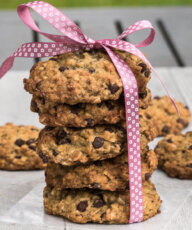 Vegan Chocolate Chip Oatmeal Cookies Recipe /// VeganFamilyRecipes.com /// #dessert #veganism