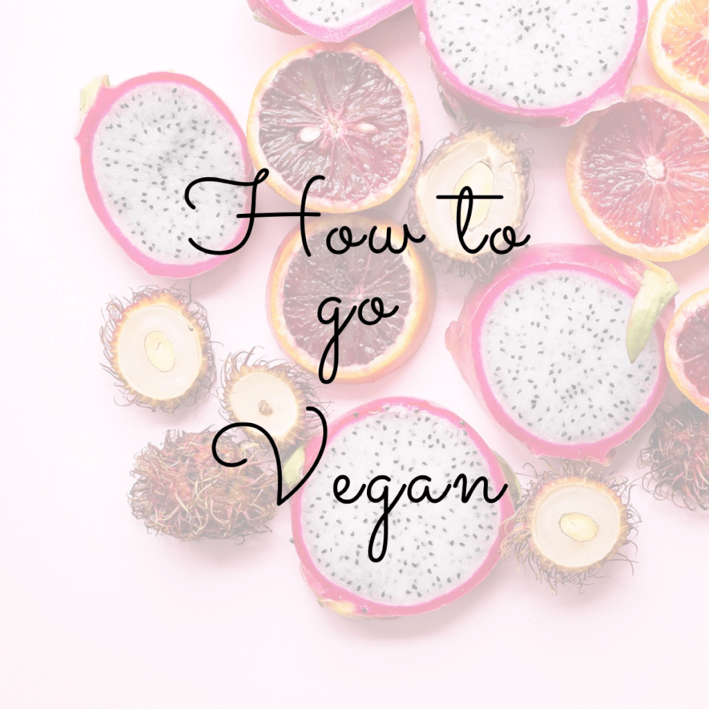 how to go vegan guide